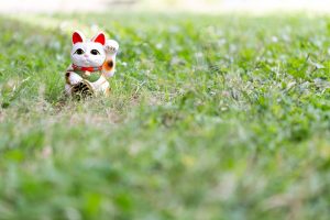 野原と招き猫