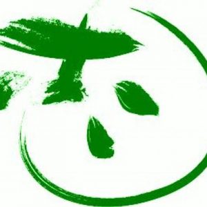 志緑